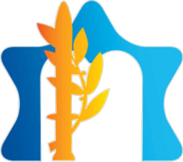 מכינת אורות טלמון